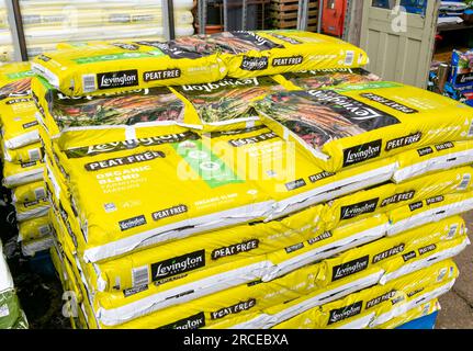 Beutel Levington Torffreier Kompost im Garden Center, Großbritannien erhältlich Stockfoto