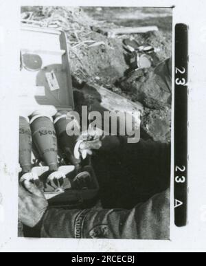 SS-Fotograf Fabiger, SS-Panzerkorps, Narva, 1944 tägliche Aktivitäten, Einheit in Winterposition mit Lichtfackelpistole Bilder der Frontaktivitäten von Waffen-SS-Einheiten an der westlichen und östlichen Front, einschließlich Polen, Frankreich, Balkan, Italien, Und Russland sowie Trainingsübungen, Porträts von Einzelpersonen und Gruppenansichten und Szenen von Städten und der lokalen Bevölkerung. Stockfoto