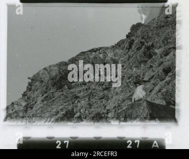 SS-Fotograf, Fink ,1943 & 1944 Bestattungszug, Reinhard Heydrich, Künstlerbüste von Heydrich, Heinrich Himmler, Soldaten, die mit Raketenwerfer trainieren, Skistruppen in Bergen trainieren, Brücken in den Bergen. Bilder, die die Aktivitäten der Waffen-SS-Einheiten an der westlichen und östlichen Front, einschließlich Polen, Frankreich, Balkan, Italien, Und Russland sowie Trainingsübungen, Porträts von Einzelpersonen und Gruppenansichten und Szenen von Städten und der lokalen Bevölkerung. Stockfoto