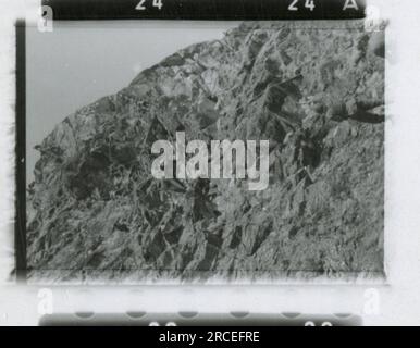 SS-Fotograf, Fink ,1943 & 1944 Bestattungszug, Reinhard Heydrich, Künstlerbüste von Heydrich, Heinrich Himmler, Soldaten, die mit Raketenwerfer trainieren, Skistruppen in Bergen trainieren, Brücken in den Bergen. Bilder, die die Aktivitäten der Waffen-SS-Einheiten an der westlichen und östlichen Front, einschließlich Polen, Frankreich, Balkan, Italien, Und Russland sowie Trainingsübungen, Porträts von Einzelpersonen und Gruppenansichten und Szenen von Städten und der lokalen Bevölkerung. Stockfoto