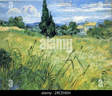 Grünes Weizenfeld mit Cypress 1889; Saint-rémy-de-provence, Frankreich, von Vincent van Gogh Stockfoto