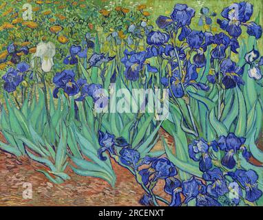 Irises 1889; Saint-rémy-de-provence, Frankreich, von Vincent van Gogh Stockfoto