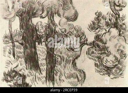 Pfad zwischen Pinien 1889; Saint-rémy-de-provence, Frankreich, von Vincent van Gogh Stockfoto