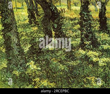 Baumstämme mit Ivy 1889; Saint-rémy-de-provence, Frankreich, von Vincent van Gogh Stockfoto