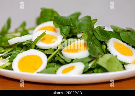 Traditioneller Brunnenkresse-Salat mit Ei Stockfoto