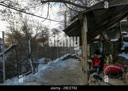 Wenn die Sonne aufgeht, kommen streunende Hunde auf dem Wanderweg vom Dorf Darband zum Gipfel von Tochal zu den Menschen, weil sie immer Essen von Passanten nach nehmen Stockfoto