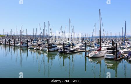 Festgemachte Boote, Yachten und Motorboote in der Sonne am Everett Marina Puget Sound Seattle Washington State USA Stockfoto