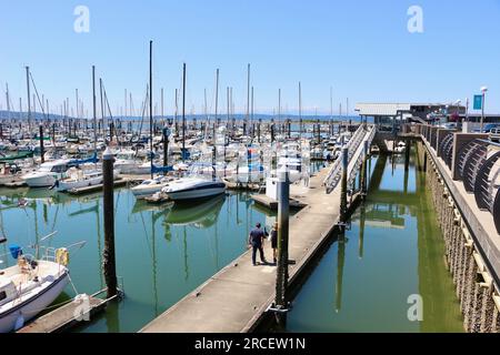 Festgemachte Boote, Yachten und Motorboote in der Sonne am Everett Marina Puget Sound Seattle Washington State USA Stockfoto