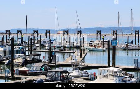 Festgemachte Boote, Yachten und Motorboote in der Sonne am Everett Marina Puget Sound Seattle Washington State USA Stockfoto