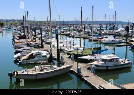 Festgemachte Boote, Yachten und Motorboote in der Sonne am Everett Marina Puget Sound Seattle Washington State USA Stockfoto