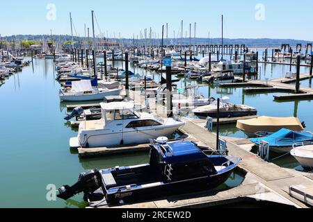 Festgemachte Boote, Yachten und Motorboote in der Sonne am Everett Marina Puget Sound Seattle Washington State USA Stockfoto