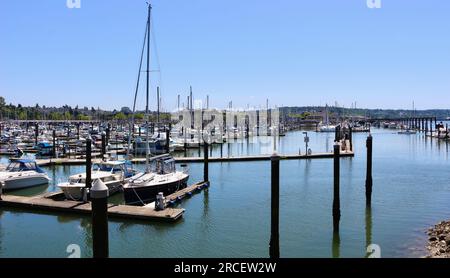 Festgemachte Boote, Yachten und Motorboote in der Sonne am Everett Marina Puget Sound Seattle Washington State USA Stockfoto