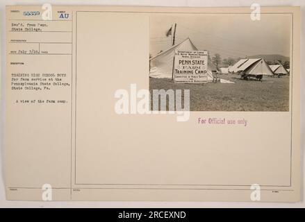 Highschool-Jungs, die für den Farmdienst am Pennsylvania State College in State College, Pennsylvania, ausgebildet wurden. Diese Abbildung zeigt das Landwirtschaftslager, in dem die Schulung stattfindet. Das Foto wurde vom Penn State College empfangen und am 3. Juli 1918 aufgenommen. Es ist Teil der US-amerikanischen Abteilung für Landnutzung Arbeitsreserve Für Jungen. Diese Informationen sind auf den offiziellen Gebrauch beschränkt. Stockfoto