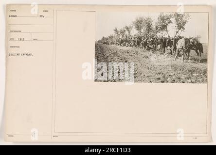 Soldaten der italienischen Kavallerie nehmen während des Ersten Weltkriegs an militärischen Aktivitäten Teil. Das Foto, das der Fotograf Beco im Jahr 1919 aufgenommen hat, zeigt den Mut und die Hingabe dieser Truppen. Das Bild wurde später von Syndol EU zu Dokumentationszwecken herausgegeben. Stockfoto