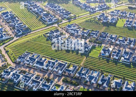 Croydon Vineyard Estate, Kapstadt. Stockfoto