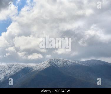 Auf dem Gipfel des Mount Mitchell in North Carolina liegt frischer Schnee über den Bäumen. Wolken bedecken Gipfel und ein Hauch von Blau bricht durch. Stockfoto