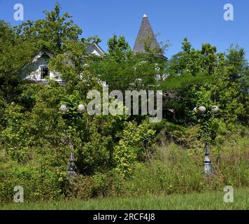 Altes viktorianisches Haus wurde verlassen und dem eindringenden Gras, Unkraut, Büschen, Bäumen und der Zeit überlassen. Dach und Turm sind alles, was noch zu sehen ist Stockfoto