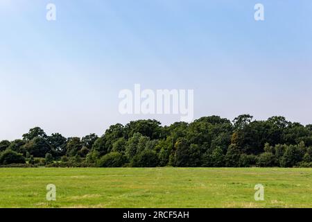 Wunderschönes Landschaftsfoto im Park von London Stockfoto