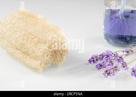 Schwamm, lavendelfarbenes Duschgel und Lavendelblumen auf weißem Hintergrund Stockfoto