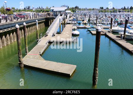 Yachten liegen in Everett Marina Port Gardner Bay Seattle Washington State USA Stockfoto