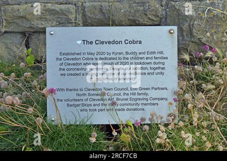 Clevedon, Großbritannien. 14. Juli 2023. An einem feuchten Nachmittag wurde ein Schild mit der Überschrift, dem Clevedon Cobra, entdeckt. Die Schlangenart wurde aus bunten Kieseln und Steinen mit Botschaften wie sicher bleiben, gesund werden, glücklich sein alles in Erinnerung an den Lockdown während der Covid -19 Pandemie. Bildnachweis: Robert Timoney/Alamy Live News Stockfoto