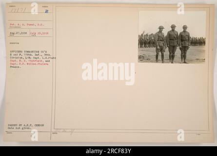 Trotzdem zeigt das Bild von 1969 drei Offiziere, Captains L.H. Platt, W. H. Chatfield und R.F. Willes, der die Kompanien E und F der 309. Infanterie der 78. Division leitet. Das Foto wurde in Frankreich aufgenommen, wo die Truppen während des Choleraausbruchs stationiert waren. Das Bild trägt die Markierung des AEF-Zensors ab einem nicht offengelegten Datum. Stockfoto