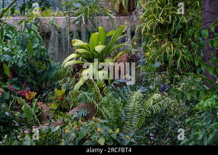 Fantastische Aufnahmen von Natur und Flora und Fauna Stockfoto