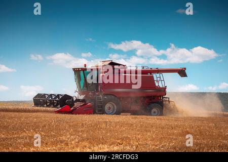 Mähdrescher erntet reife goldene Weizenfelder an einem heißen, sonnigen Sommertag Stockfoto