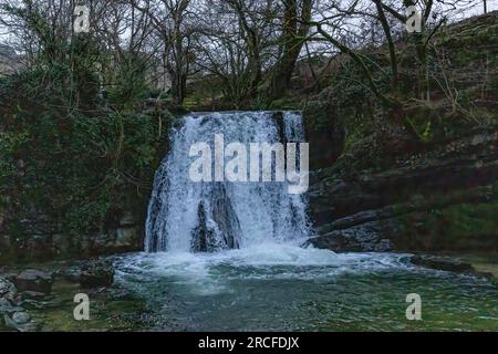 Fantastische Aufnahmen von Natur und Flora und Fauna Stockfoto