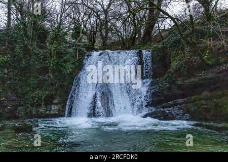 Fantastische Aufnahmen von Natur und Flora und Fauna Stockfoto