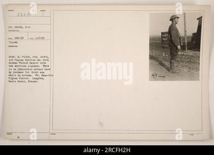 Corporal H. Piche, Sig. Corps, 1. Pigeon Service Company, abgebildet mit einem deutschen Grabenkorb mit zwei amerikanischen Tauben. Dieses Foto zeigt die Methode, mit der die Deutschen während des Kampfes mit ihren Männern kommunizieren. Erfasst bei Ft. Bonnelle Pigeon Center in Langres, Haute Marne, Frankreich. Lieutenant Sears, S.C., machte das Foto am 6. Januar 1919 und erhielt es am 14. April 1919. Stockfoto