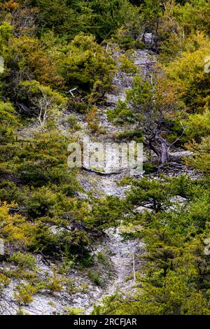 Fantastische Aufnahmen von Natur und Flora und Fauna Stockfoto