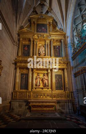 Kapelle der Heiligen Cosmas und Damian (San Cosme y San Damian) in der Kathedrale von Segovia - Segovia, Spanien Stockfoto