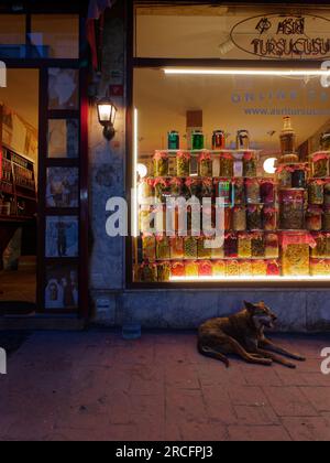 Ein Hund sitzt auf einem Bürgersteig vor einem Laden, der an einem Sommernacht in Istanbul, Türkei, Gefäße mit eingelegtem Gemüse verkauft Stockfoto