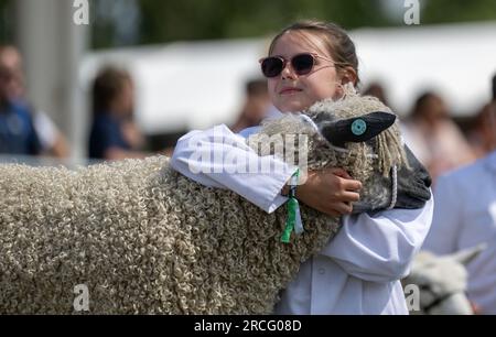 Junge Leute zeigen ihre Schafe bei der Great Yorkshire Show, 2023. Stockfoto