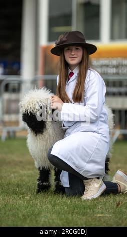 Junge Leute zeigen ihre Schafe bei der Great Yorkshire Show, 2023. Stockfoto