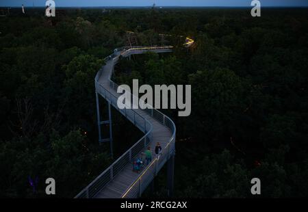 Beelitz, Deutschland. 14. Juli 2023. Am Abend ist der Pfad auf dem Gelände des „Tree & Time“-Baumwipfels in Beelitz-Heilstätten hell beleuchtet. An drei Abenden im Juli und August bietet der Abenteuerbereich seinen Gästen ein Abendprogramm mit Musik, Lichtinstallationen und Vorstellungen. Kredit: Monika Skolimowska/dpa/ZB/dpa/Alamy Live News Stockfoto