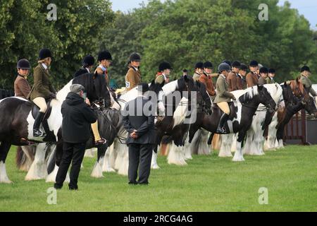 Am 11. Juli 2023 werden Pferde auf der Great Yorkshire Show gezeigt Stockfoto