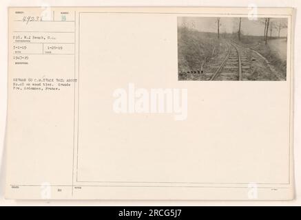 Abbildung einer deutschen 60-cm-Laufschiene mit der Kennzeichnung Nr. 40, die auf Holzbindern in Grande Pre, Ardennen, Frankreich, ruht. Das Foto wurde vom Fotografen CPL. W.J Beach am 3. Januar 1919 aufgenommen. Das Bild wurde am 25. Januar 1919 herausgegeben. Stockfoto