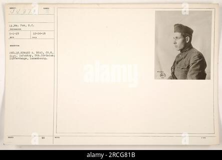 Lieutenant William Fox, s.c., hat dieses Foto am 1. März 1919 gemacht. Es zeigt 2. LT. Edward A. Read von Kompanie K, 61. Infanterie, 5. Division in Differdange, Luxemburg. Diese Beschreibung wurde am 24. Dezember 1918 herausgegeben, und das Foto hat die Referenznummer 44373-006. Stockfoto