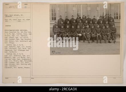 Sergeant Jack Abbott und verschiedene nicht kommissionierte Offiziere des Basiskrankenhauses Nr. 15, Chaumont, hte. Marne, Frankreich, posierte für ein Foto am 26. Februar 1919. Die Personen auf dem Bild, in Reihen geordnet, umfassen Sergeants, Corporals und eine Krankenschwester. - Ich bin's, Sergeant. Die Namen und Ränge werden im Einzelnen angegeben. Stockfoto