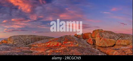 Sonnenuntergang auf Granitfelsen entlang der Küste mit orangefarbenen Flechten in Binalong Bay, Bay of Fires, St. Helens, Tasmanien, Australien Stockfoto