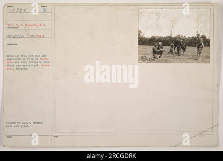 Der amerikanische Soldat C.D. Donnelly vom Signalkorps ist auf diesem Foto zu sehen. Das Foto wurde am 8. Juli 1918 aufgenommen und zeigt amerikanische Soldaten, die auf einer Farm in Watou, Belgien, stationiert waren. Man sieht, wie sie mit der lokalen Gemeinschaft interagieren. Dieses Bild wurde vom AEF-Zensor freigegeben und erhielt die Nummer 18700. Stockfoto