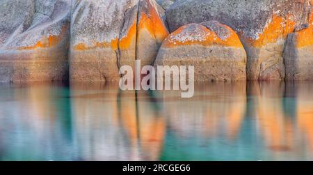 Granitfelsen entlang der Küste mit orangefarbenen Flechten in Binalong Bay, Bay of Fires, St. Helens, Tasmanien, Australien Stockfoto