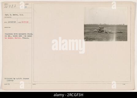 Soldaten des 2. Bataillons, 329. Infanterie werden während des Trainings in Le Mans, Sarthe, Frankreich, gezeigt. Das Foto wurde am 5. Oktober 1918 aufgenommen und zeigt die Soldaten, die Bajonetttechniken mit festen Bajonetten praktizieren. Dieses Bild, aufgenommen von Sergeant G. Ryden vom Signalkorps, wurde von der A.E.F. veröffentlicht Zensor am 12. November 1918. Aufgenommen auf Fotos von amerikanischen Militäraktivitäten während des Ersten Weltkriegs. Stockfoto