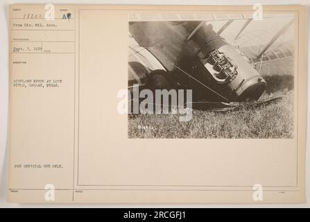 Flugzeugwrack in Love Field, Dallas, Texas, aufgenommen am 3. September 1918. Dieses Foto ist aus der Sammlung amerikanischer Militäraktivitäten während des Ersten Weltkriegs. Das Bild zeigt ein zerstörtes Flugzeug, mit der Sonne, die auf das Wrack scheint. Dieses Foto ist als „nur zur offiziellen Verwendung“ klassifiziert. Stockfoto