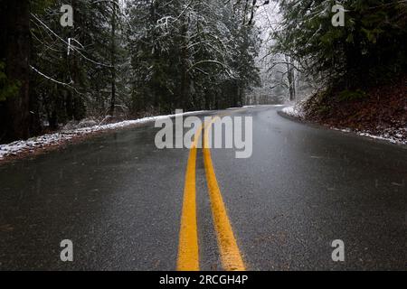 Es schneit draußen auf einer leeren Straße, wo es an den Seiten und Bäumen Schnee gibt. Stockfoto