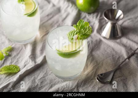 Moskauer Mule Cocktail hausgemachter klassischer russischer Wodka, Ingwerbier, Limettensaft und Sirup Stockfoto