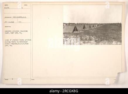 Im Reserve Officers Training Camp in Camp Lee, Virginia, gibt es eine Reihe von Unterkunftszelten. Die Zelte werden getestet, um die Ehrenfirma des Reserve Officers Trainingscamps zu bestimmen. Dieses Foto wurde von Sergeant Warner aufgenommen und am 15. August 1949 empfangen. Das Bild hat die Nummer 61771. Stockfoto