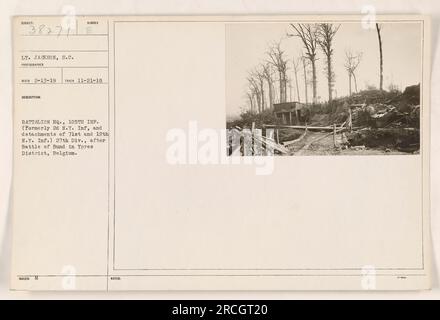 Das Bild zeigt LT. Jackson, ein Fotograf, der die Nachwirkungen der Schlacht von Bund im Bezirk Ypern, Belgien, am 21. November 1918 feststellt. Das Foto zeigt das Hauptquartier des Nummer-Bataillons der 105. Infanterie, das früher als die 2. New York Infanterie bekannt war und auch Einheiten der 71. Und 12. New York Infanterie enthielt. Stockfoto